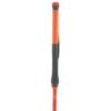 Åsnes-Cecilie BC Fjellskistav-541711-Sporten Bagn-3