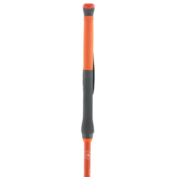 Åsnes-Cecilie BC Fjellskistav-541711-Sporten Bagn-3