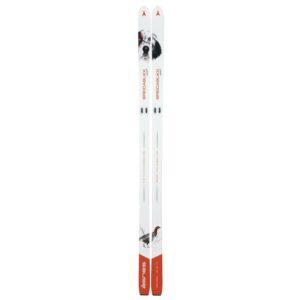 Åsnes-BREIDABLIKK-HUNTER-BC-SKI-542013-Sporten-Bagn-1