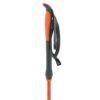 Åsnes-Cecilie BC Fjellskistav-541711-Sporten Bagn-6