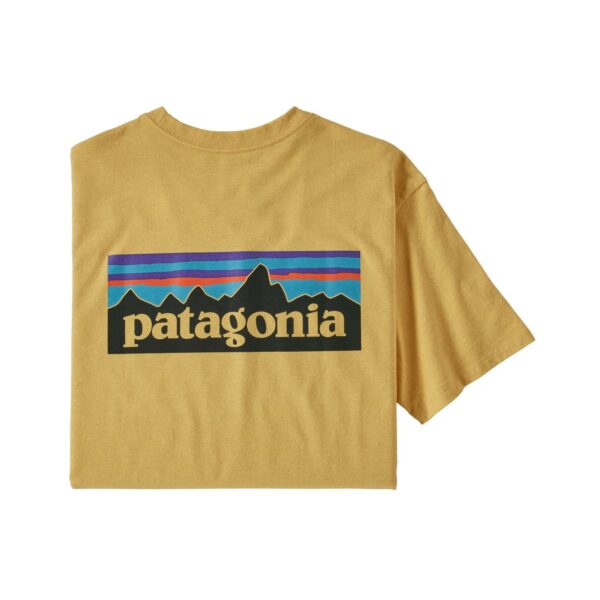 Patagonia-M-P-6-Logo-Responsibili-Tee-P38504-Sporten-Bagn-1