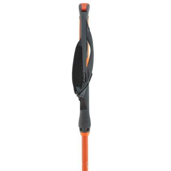 Åsnes-Cecilie BC Fjellskistav-541711-Sporten Bagn-5