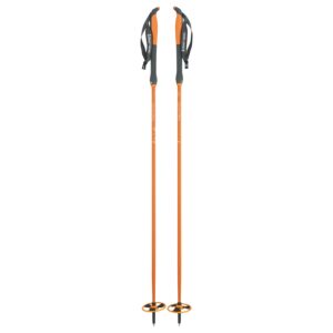 Åsnes-Cecilie BC Fjellskistav-541711-Sporten Bagn-1