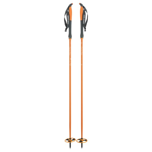 Åsnes-Cecilie BC Fjellskistav-541711-Sporten Bagn-1