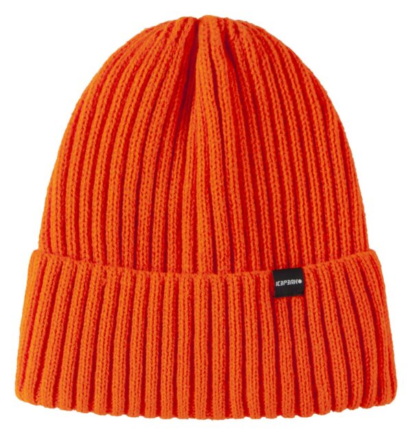 Icepeak-Havre-Jr-252830850I-Sporten-Bagn-1