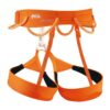 Petzl-Petzl Hirundos Harness--Sporten Bagn-2