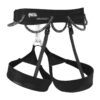 Petzl-Petzl Hirundos Harness--Sporten Bagn-2