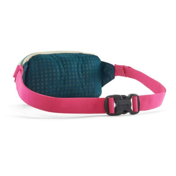 Patagonia Patagonia Terravia Mini Hip Pack P49448 Sporten Bagn 2