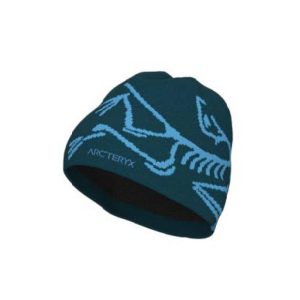 ArcTeryx ArcTeryx Bird Head Toque X000006756 Sporten Bagn 1