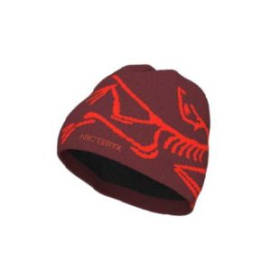 ArcTeryx ArcTeryx Bird Head Toque X000006756 Sporten Bagn 1