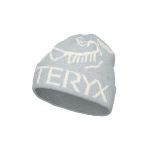 ArcTeryx ArcTeryx Bird Word Toque X000010065 Sporten Bagn 1