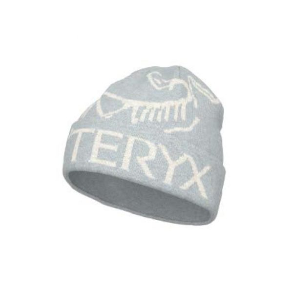 ArcTeryx ArcTeryx Bird Word Toque X000010065 Sporten Bagn 1