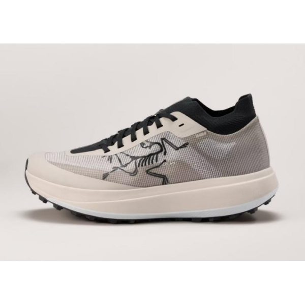 ArcTeryx Sylan Pro Herre