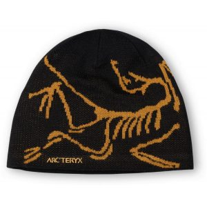 ArcTeryx ArcTeryx Bird Head Toque X000006756 Sporten Bagn 1
