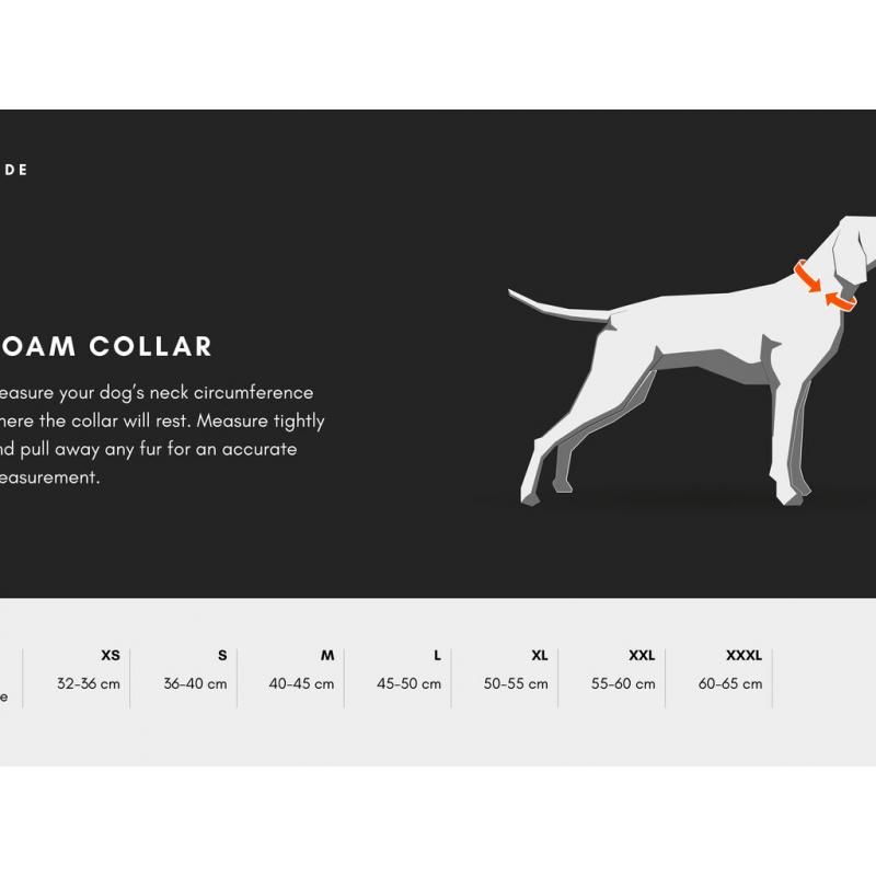 Non-Stop Roam Collar Lilla - Bilde 2