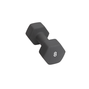 Abilica Abilica Dumbbell 8 Kg 374282 Sporten Bagn 1