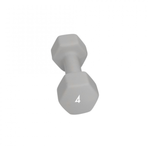 Abilica Dumbbell 4 Kg