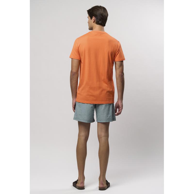 U.S POLO ASSN. USPA T-Shirt Arjun Men 101423 Sporten Bagn 4