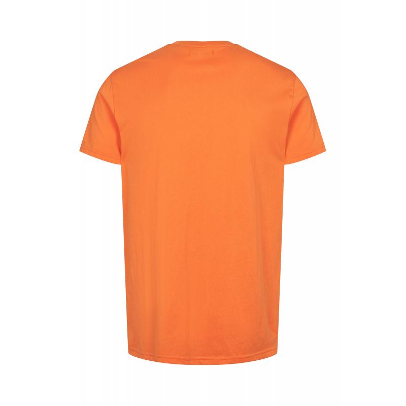 U.S POLO ASSN. USPA T-Shirt Arjun Men 101423 Sporten Bagn 6