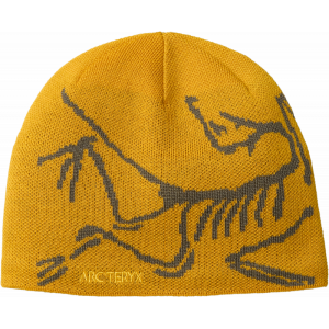 ArcTeryx ArcTeryx Bird Head Toque X000006756 Sporten Bagn 1