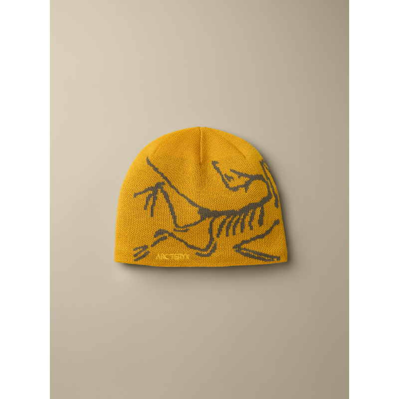 ArcTeryx ArcTeryx Bird Head Toque X000006756 Sporten Bagn 2