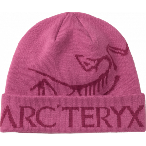 ArcTeryx ArcTeryx Bird Word Toque X000010979 Sporten Bagn 1