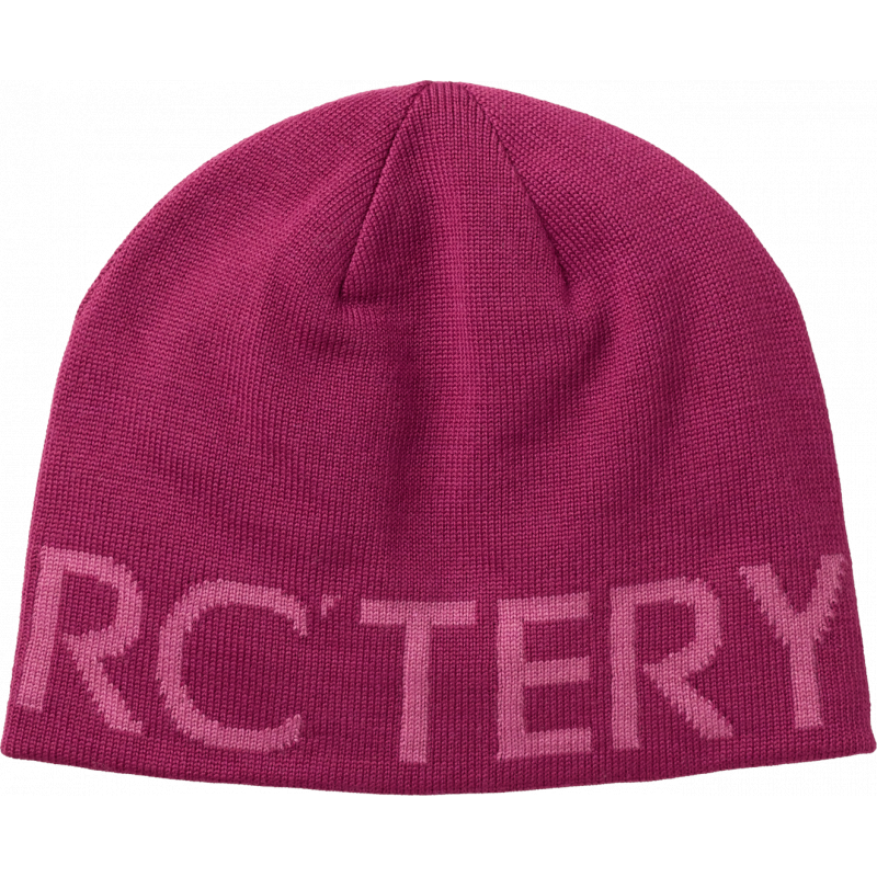 ArcTeryx ArcTeryx Word Head Toque X000007590 Sporten Bagn 1